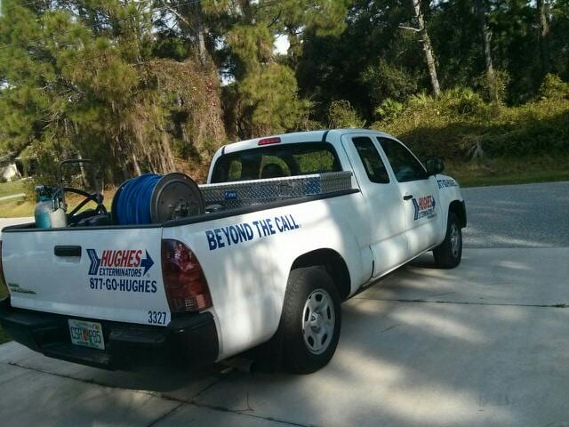 Hughes Exterminators, photo 4