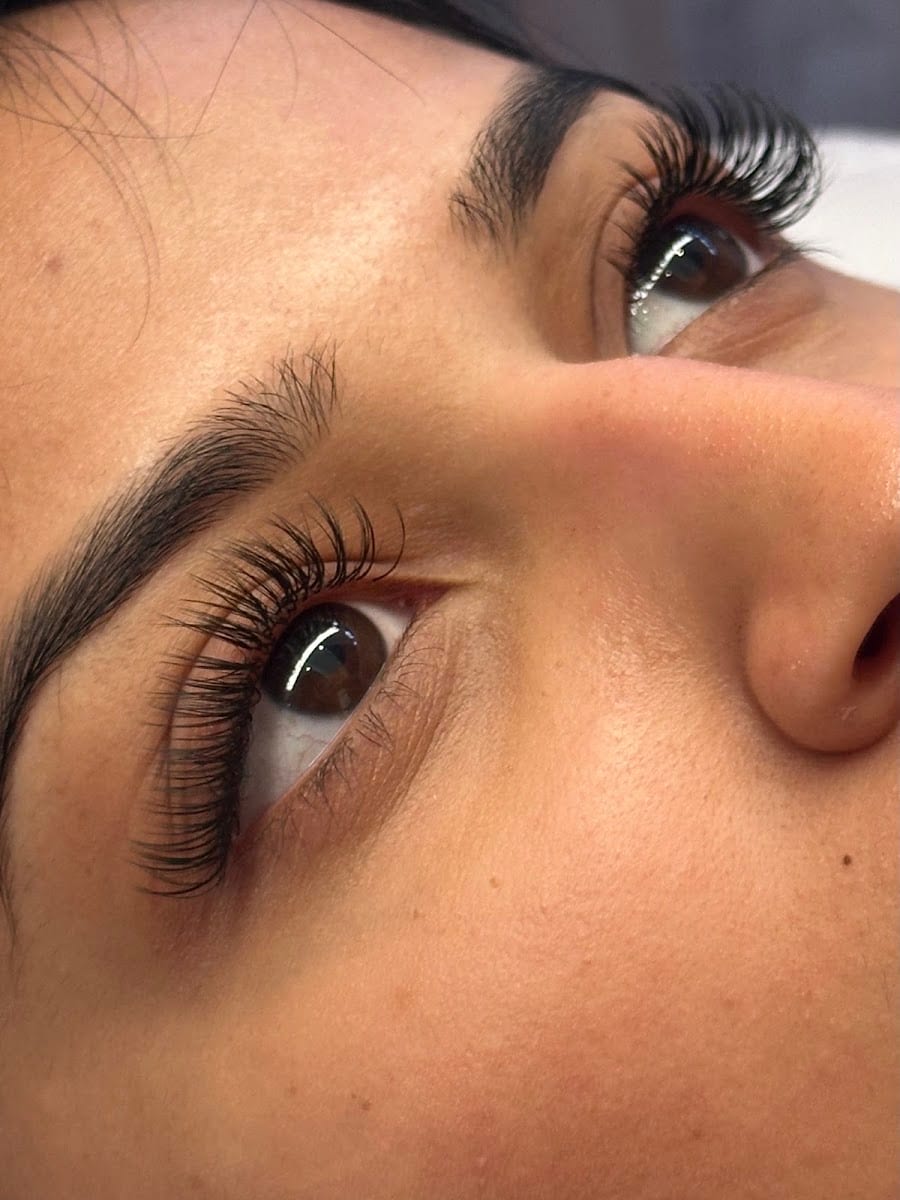 Lisa's Lash
