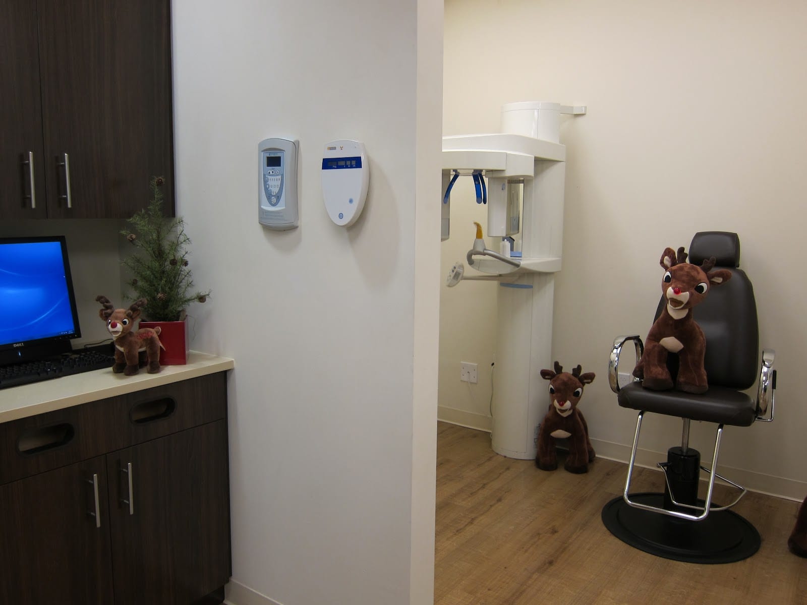 South Tampa Pediatric Dentistry