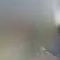 Go Pro Home Services