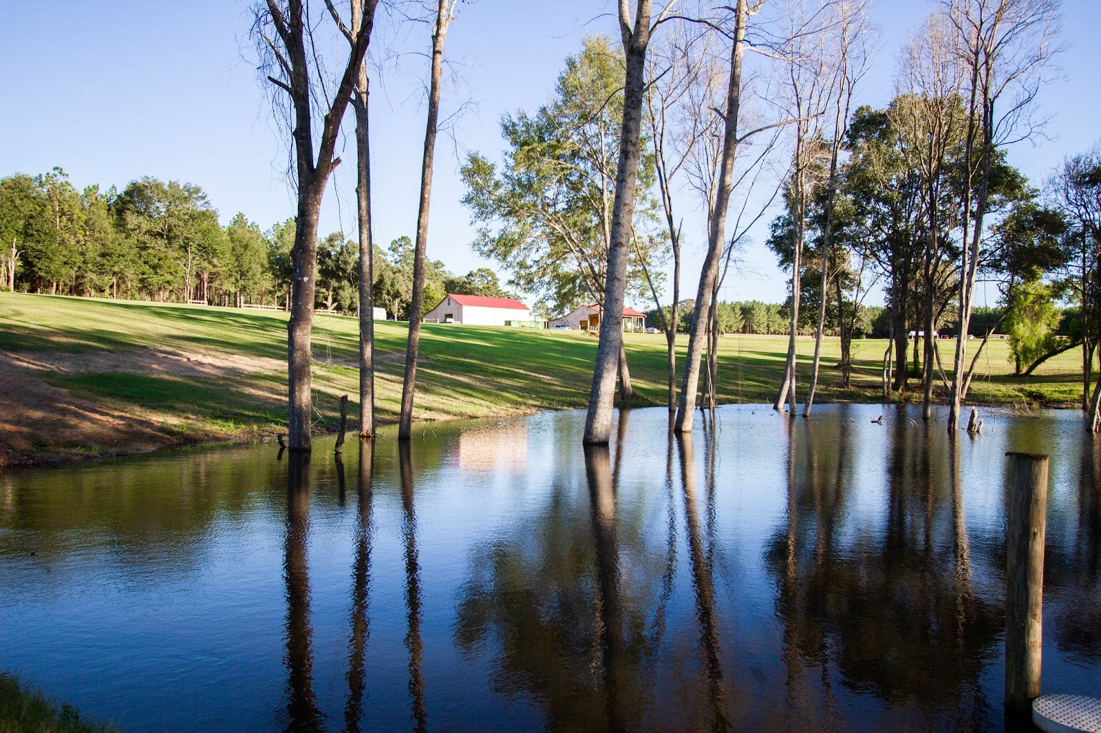 Loblolly Farm