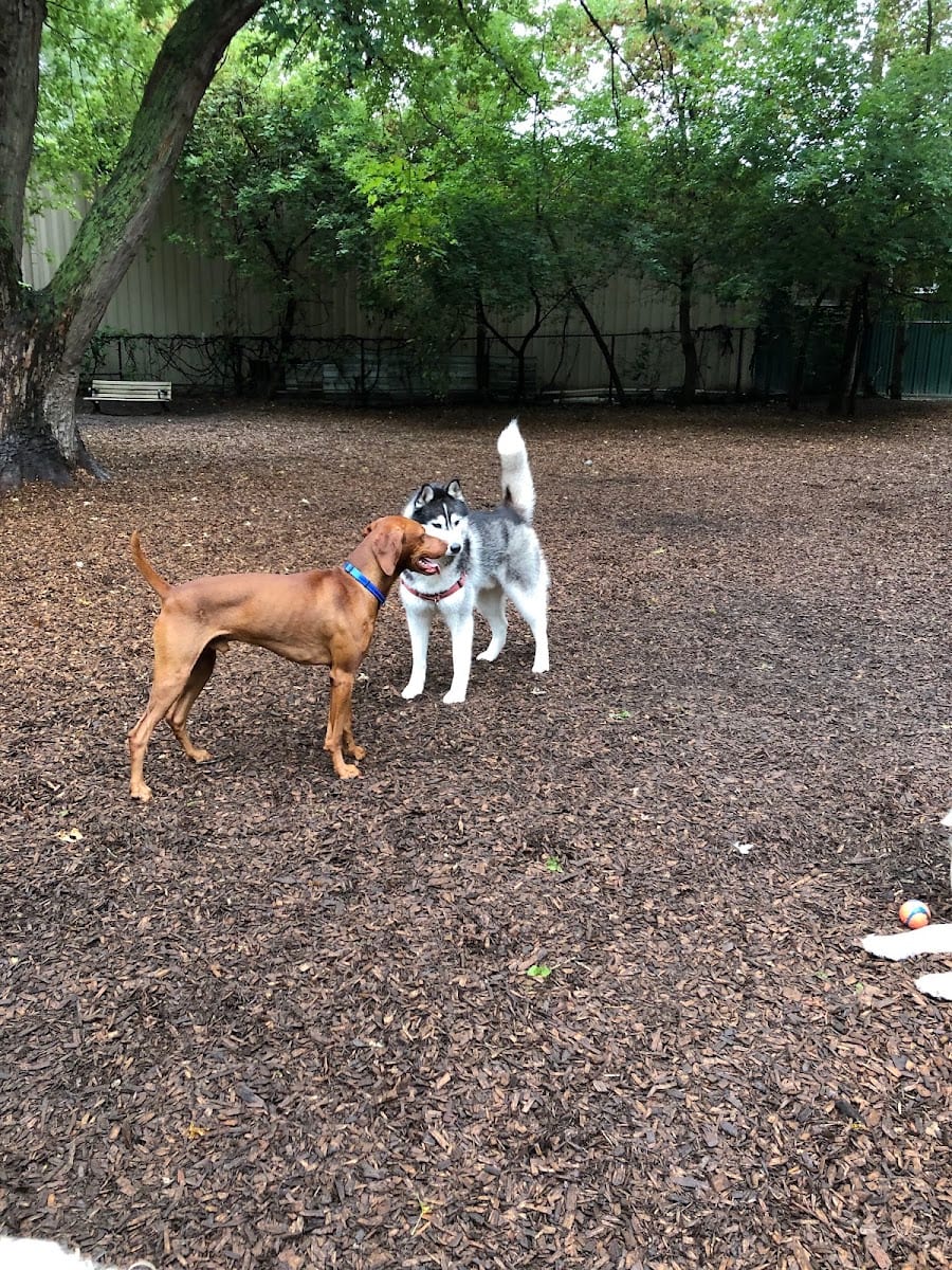 Yonge & York Mills Dog Park