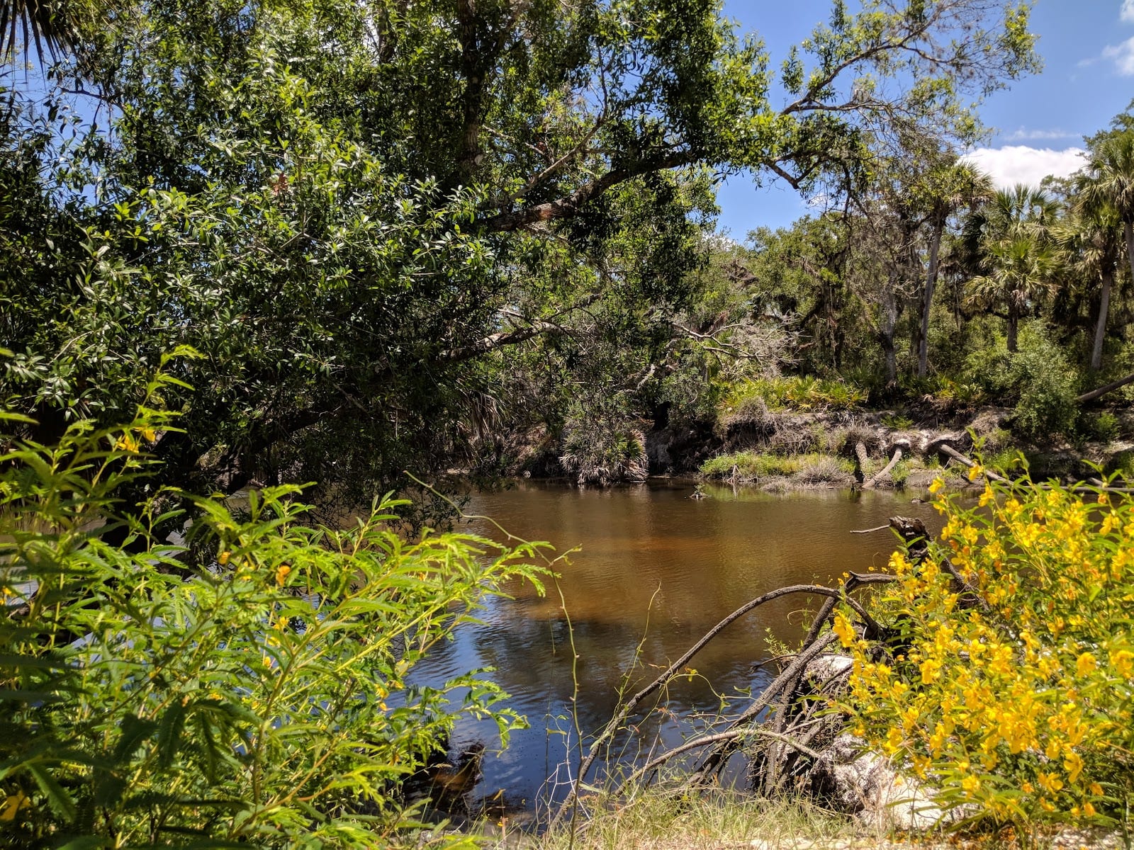 Venice Myakka River Park