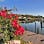 Siesta Key Tranquility