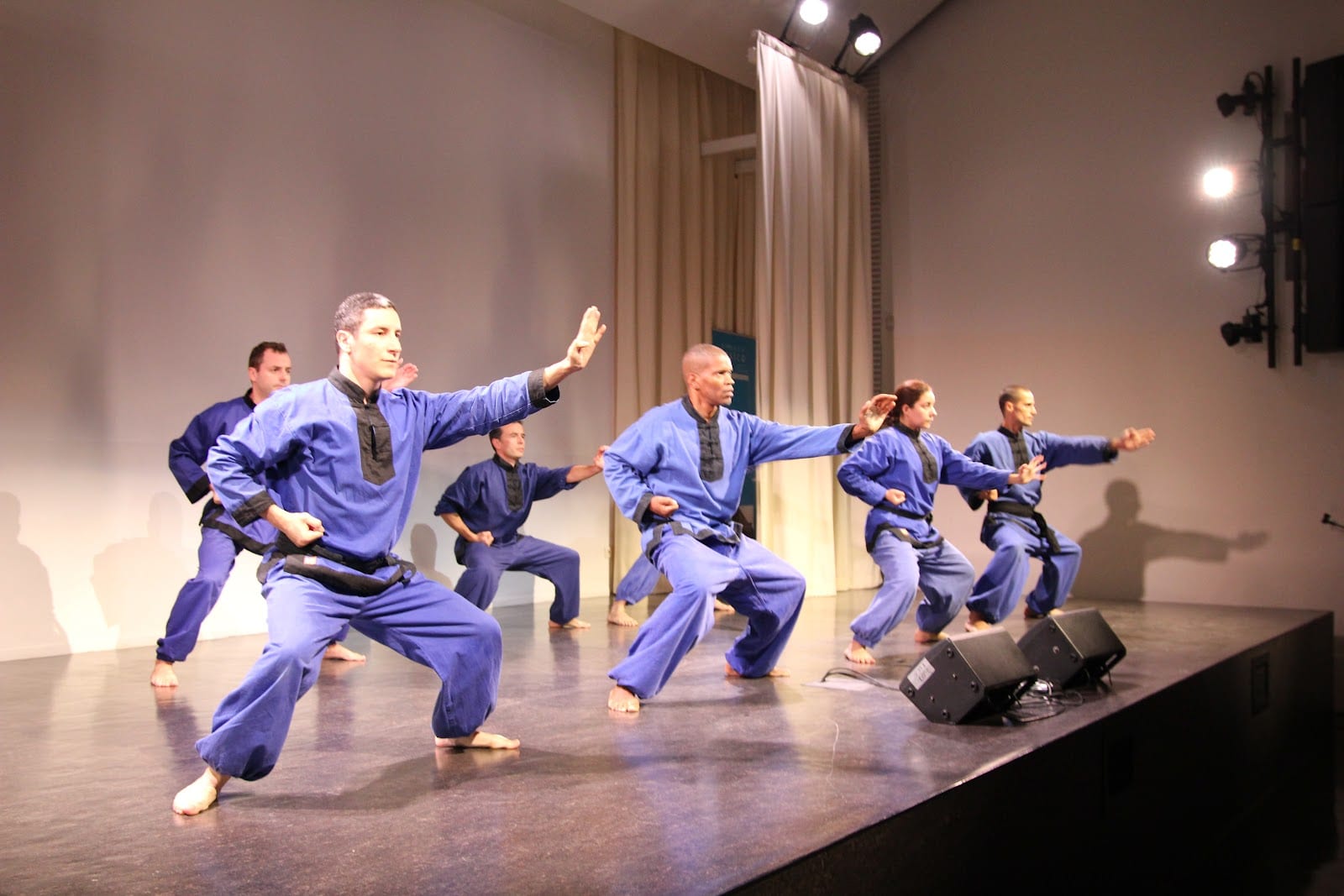 Vô Viêtnam Arts Martiaux Paris 12 13, photo 4