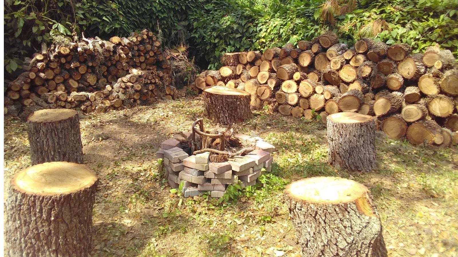 T.B.B Tree Service, photo 2