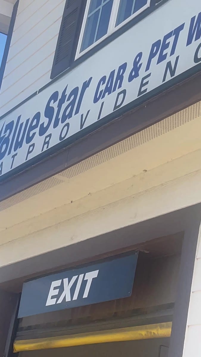 Blue Wave Car & Pet Wash, photo 2