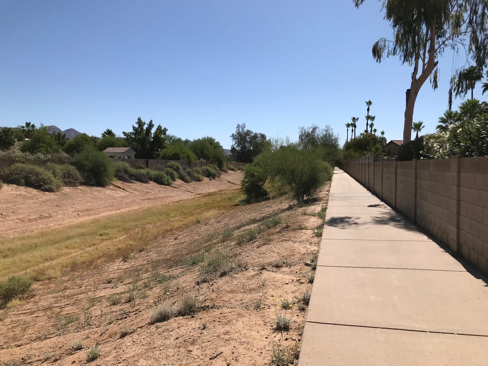 Casa Rica Trail, photo 3