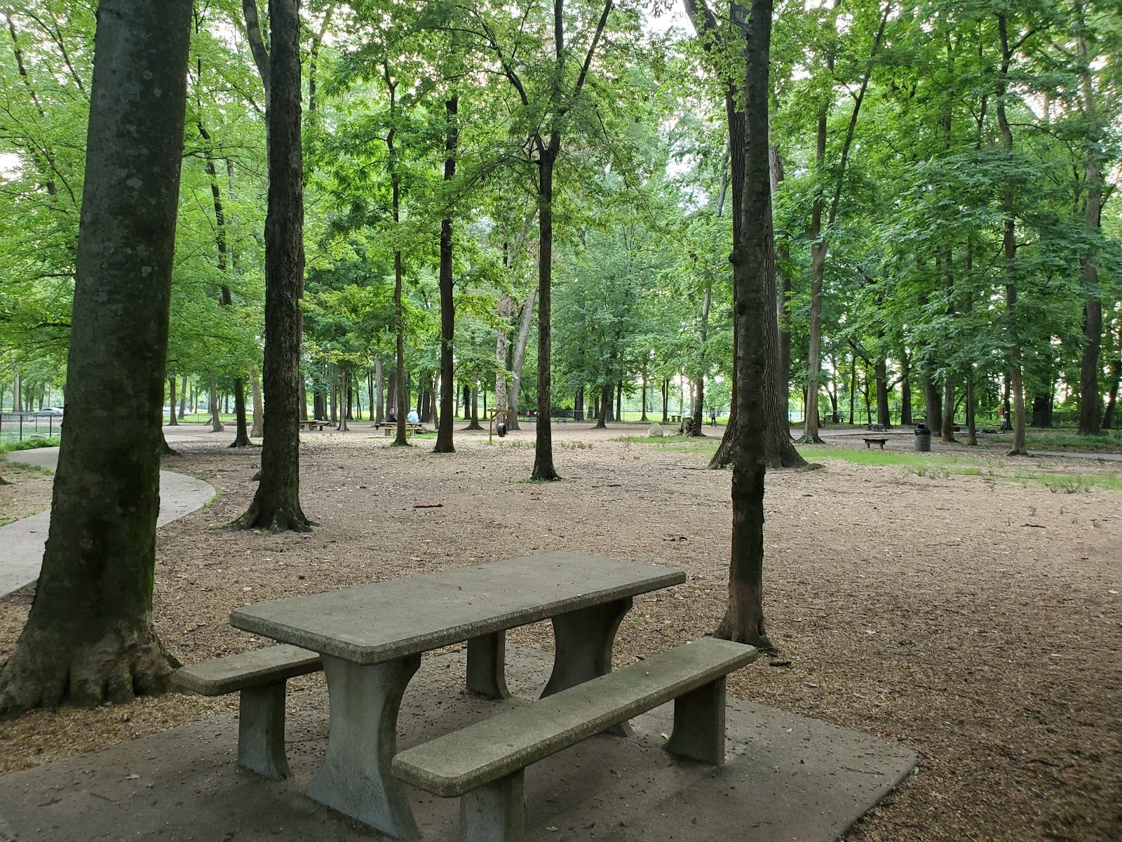 Paws Park at Murray