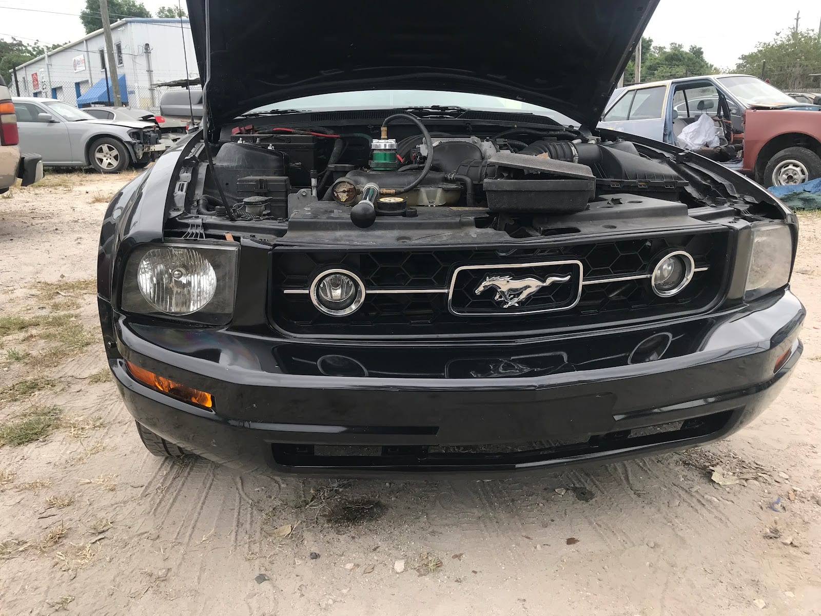 Wayne's Auto Repair & Car Sales, Inc., photo 2