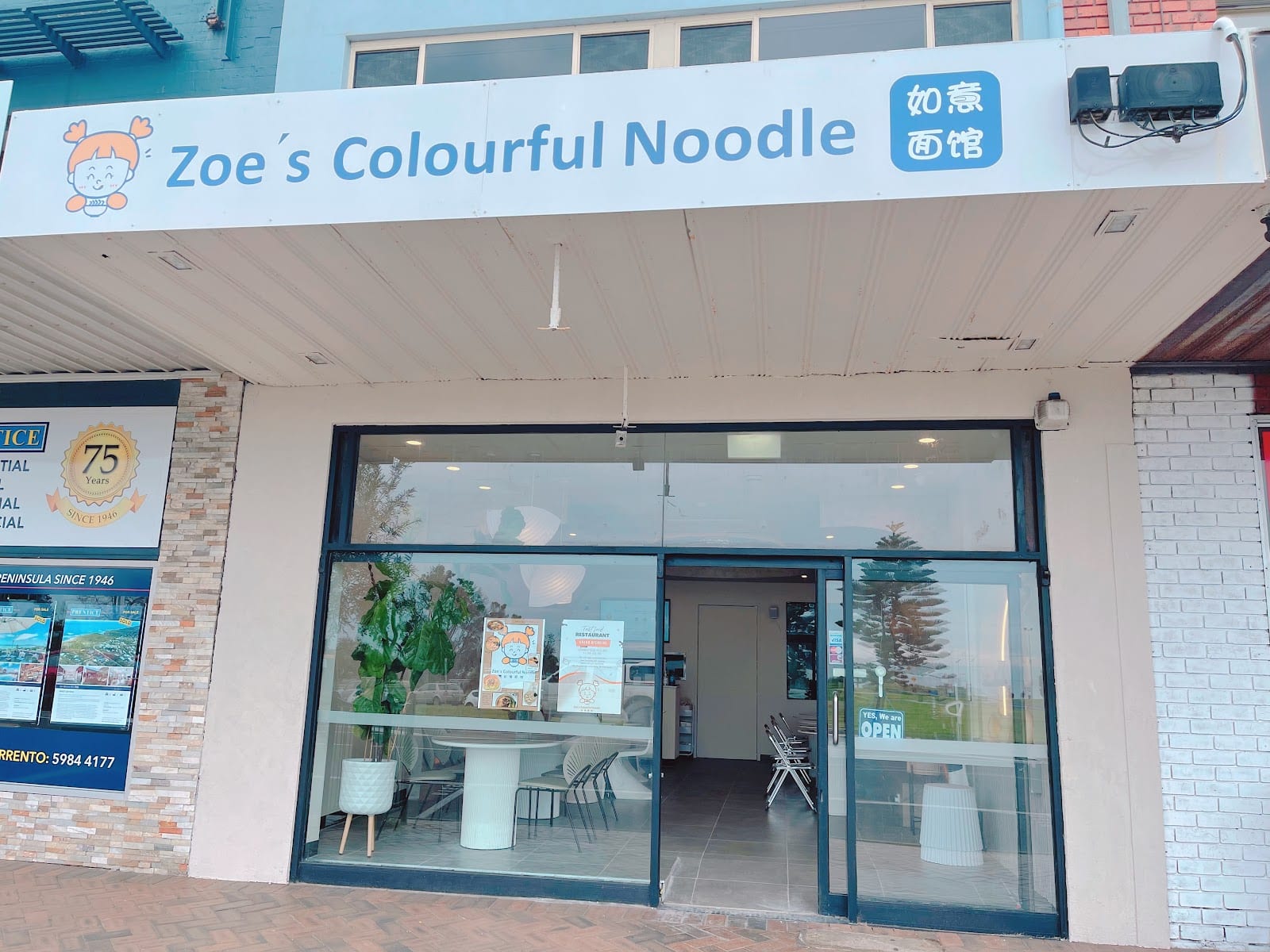 Zoe's Colourful Noodle