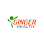 Ginger Health Physical Therapy and Pain Relief & Grace Adaptive Driving