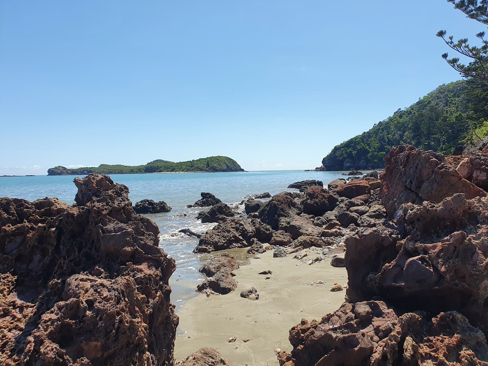 Cape Hillsborough National Park, photo 3