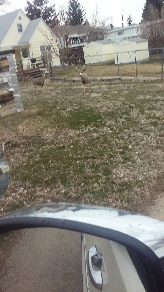 Kiwanis Park, photo 2