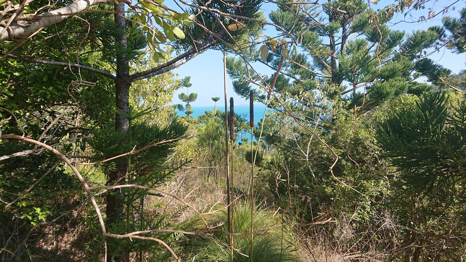 Smith Islands National Park, photo 3
