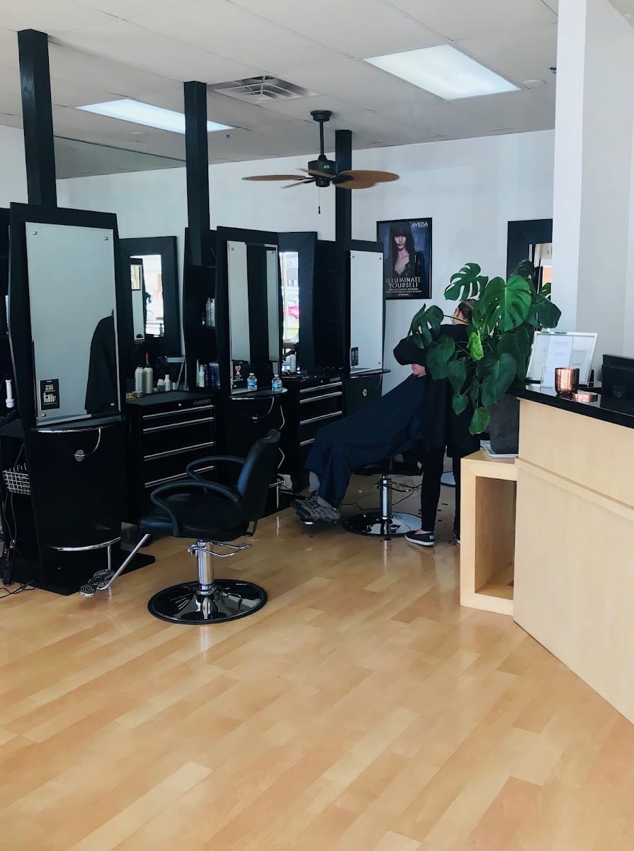 Waters + Co Salon, photo 3