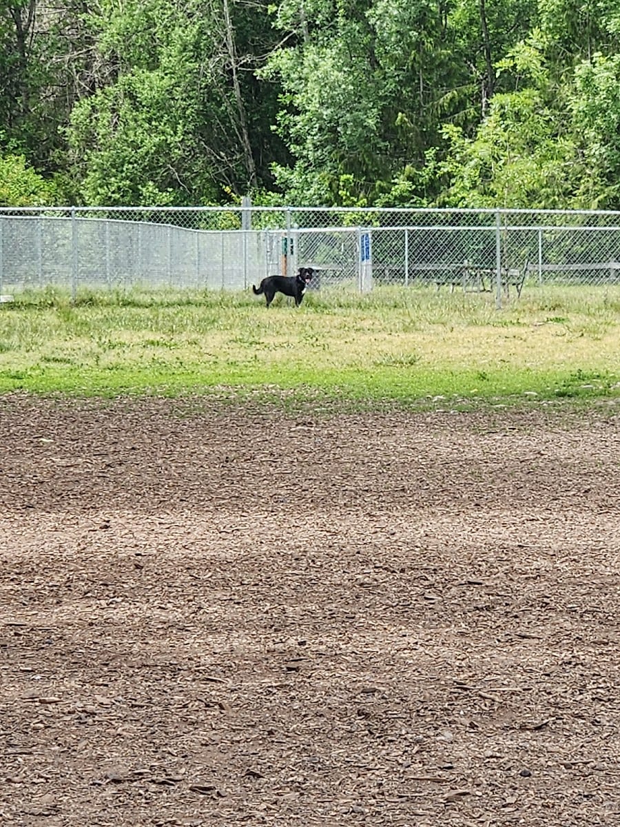 North Clackamas Parks & Recreation District, photo 3