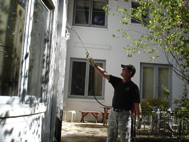 Exterminators Edmonton