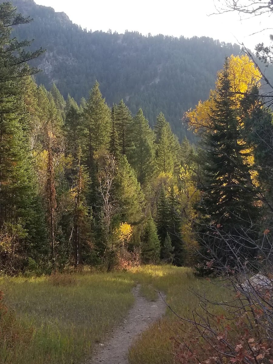 Mount Naomi Wilderness, photo 2