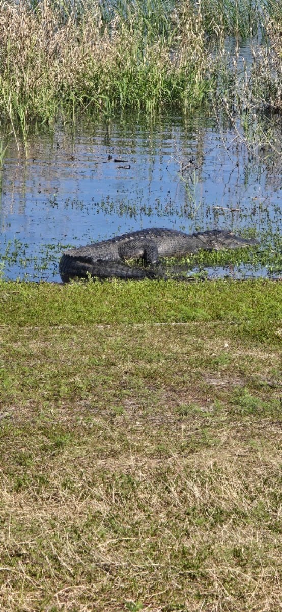 Myakka River State Park South Entrance