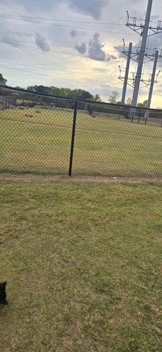 Silverado Dog Park At West, photo 3