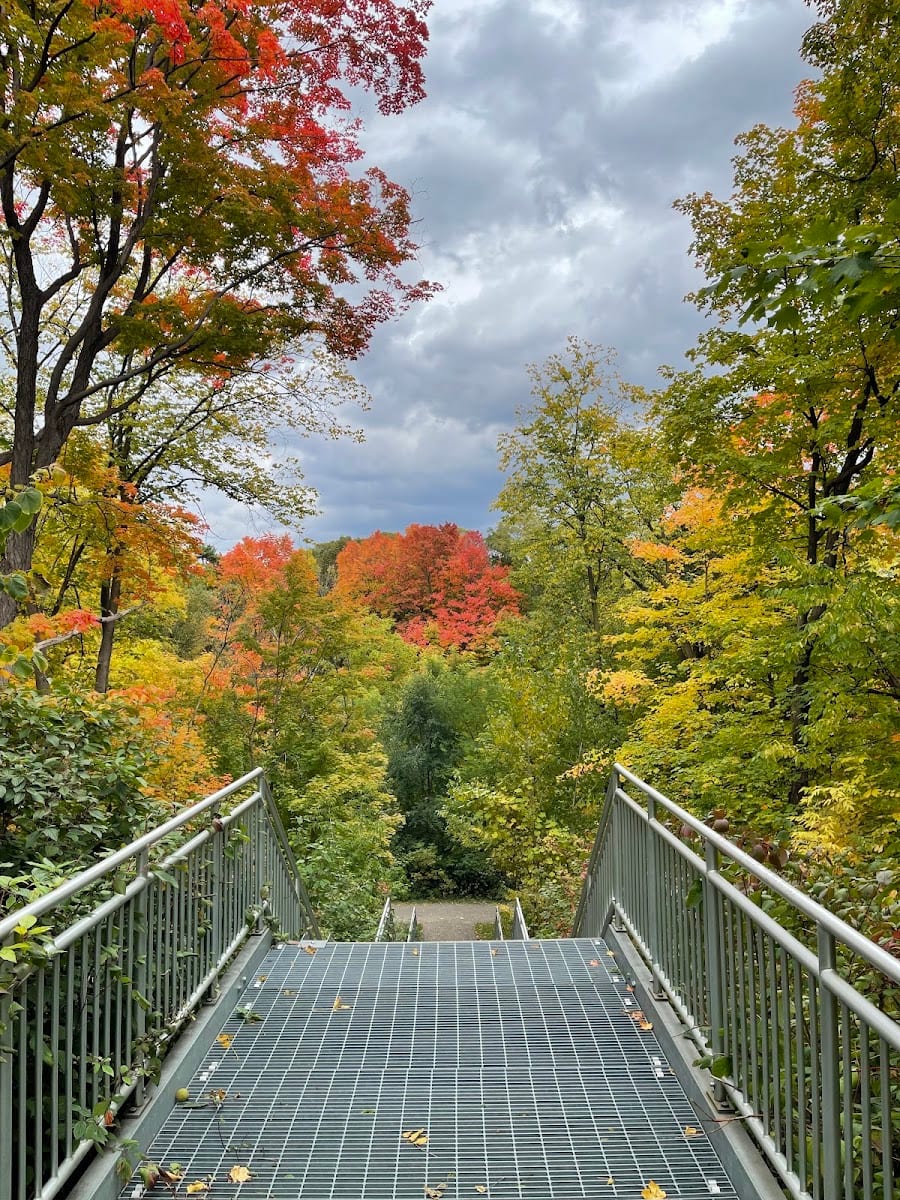 Topcliff Park