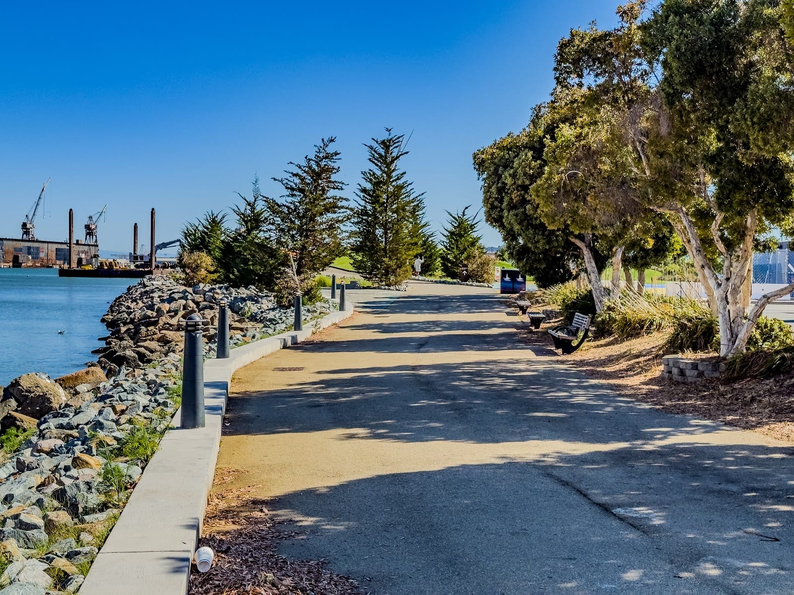 Bayfront Park