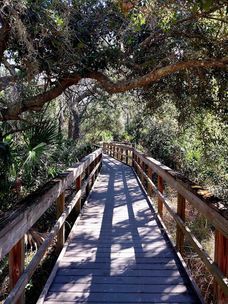Manasota Scrub Preserve