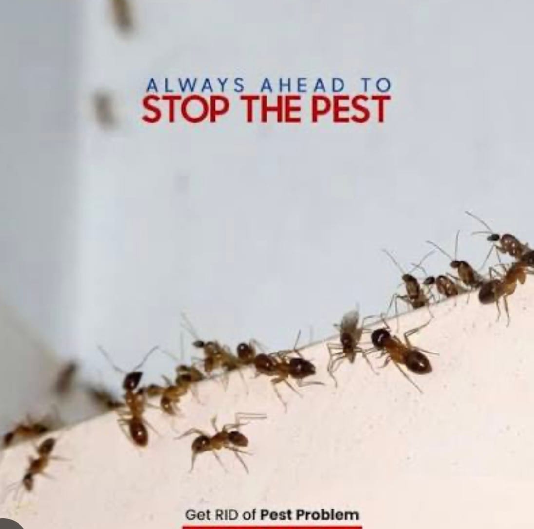 Rogers Pest Control - Belton, SC, photo 4