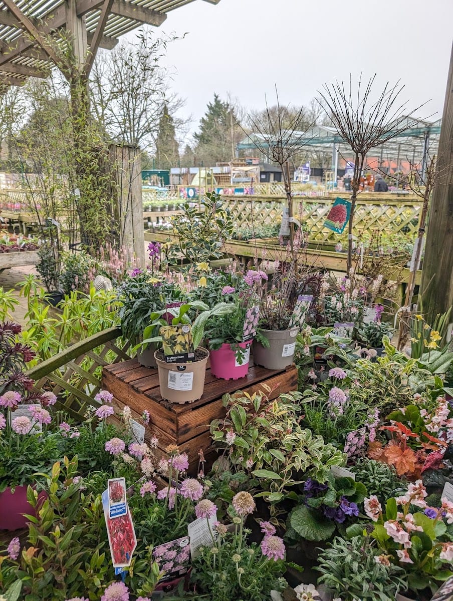 Burston Garden Centre, photo 2