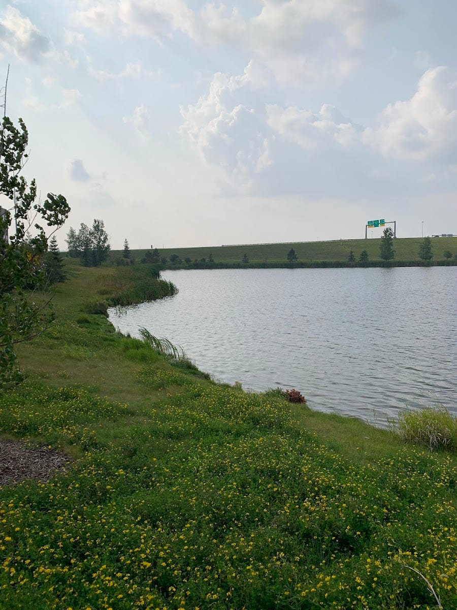Emerald Hills North Ponds