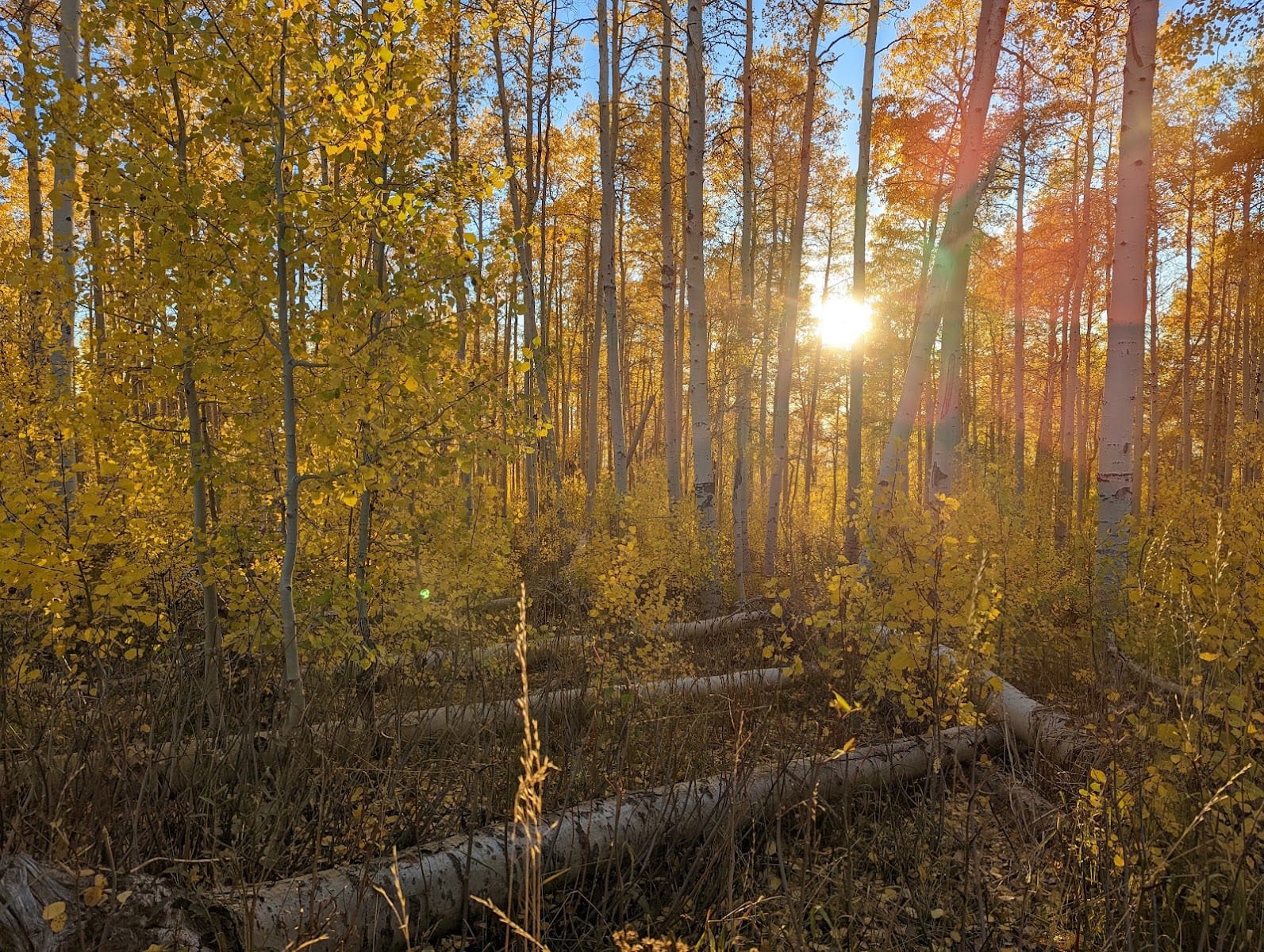 Monte Cristo Peak, photo 2