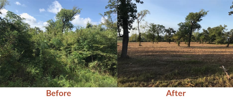Enviro Clear Land Clearing, Inc.