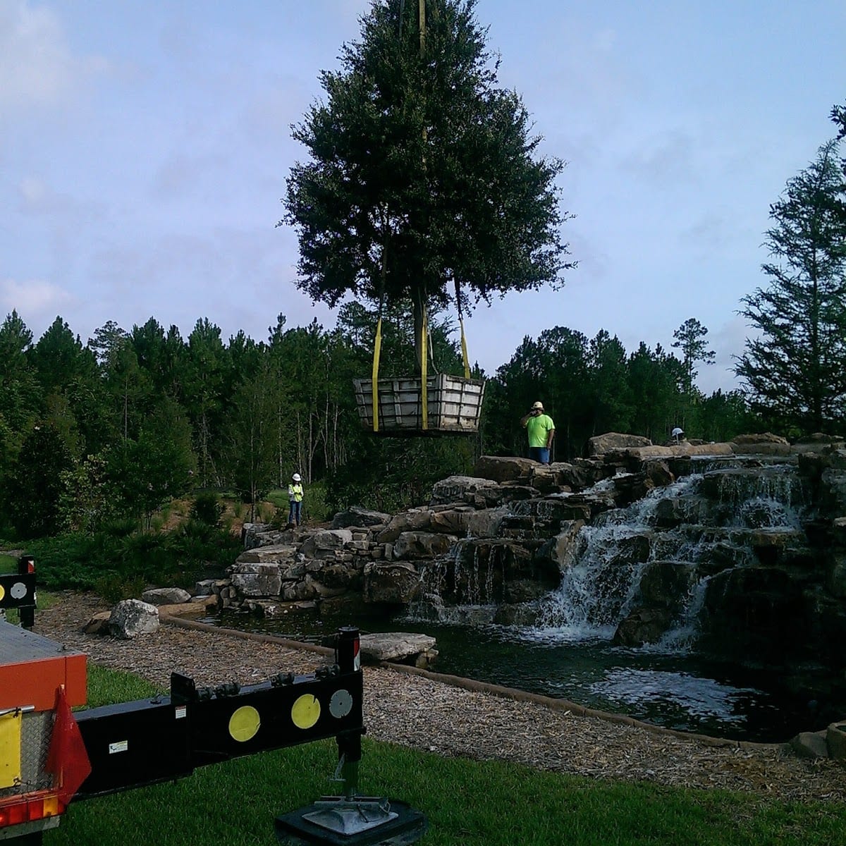 Tree Amigos Outdoor Services, photo 2