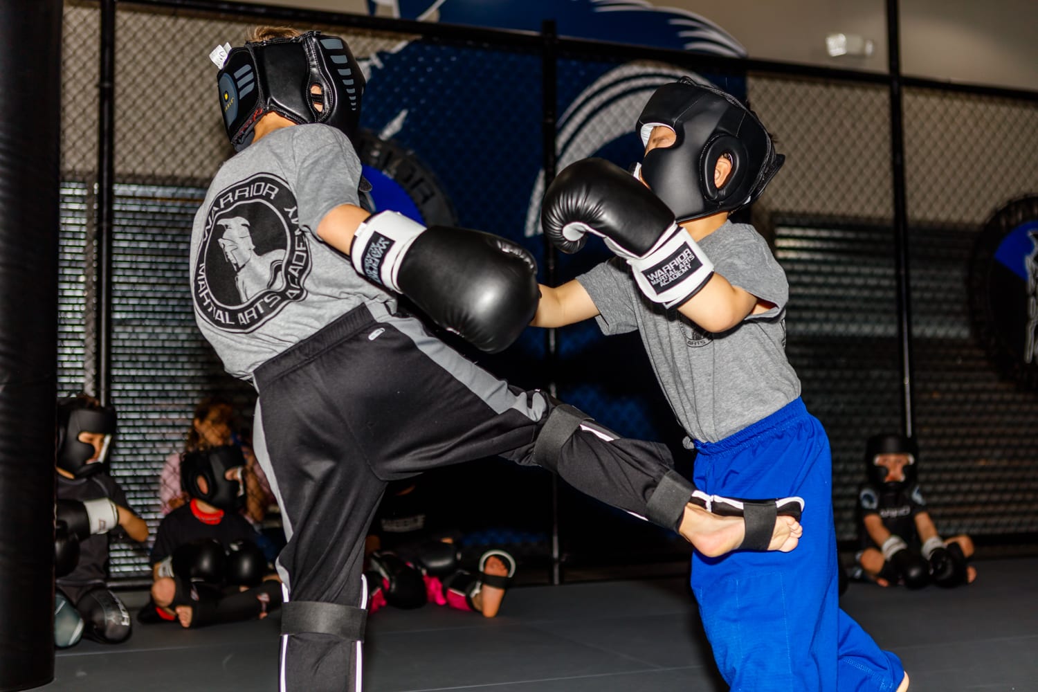 Warrior Martial Arts Academy Flower Mound, photo 4