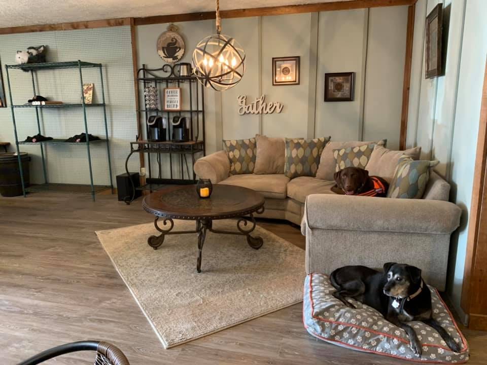 Pawsome Place Canine Oasis
