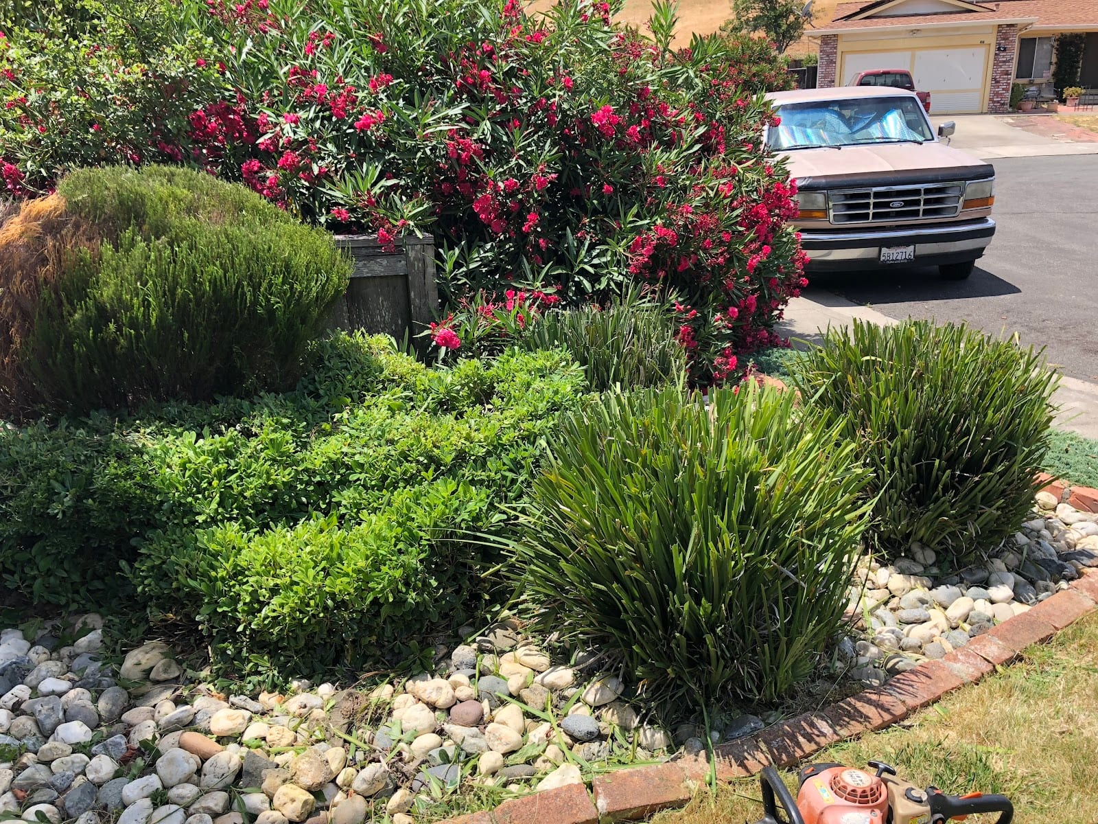 Mike's Gardening Service, photo 3