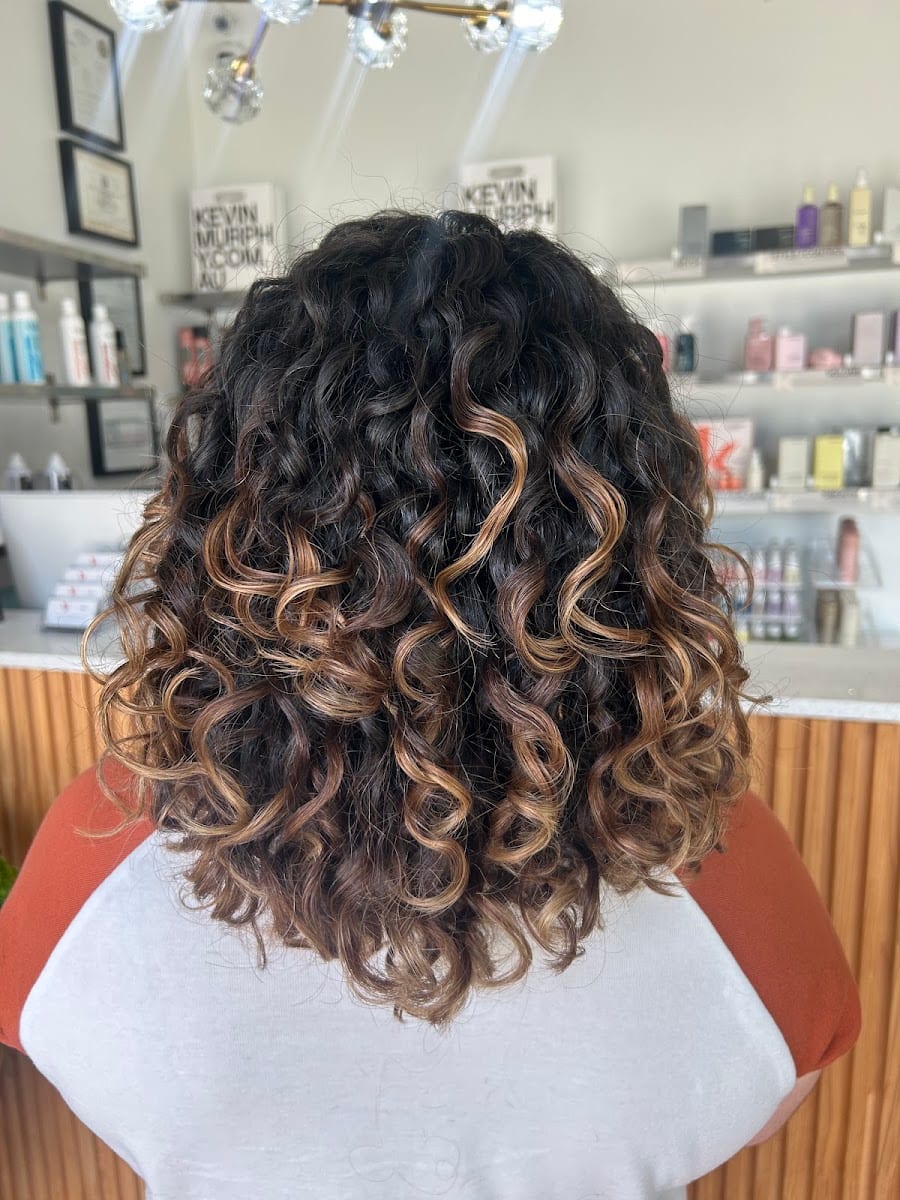 Salon Vive, photo 3