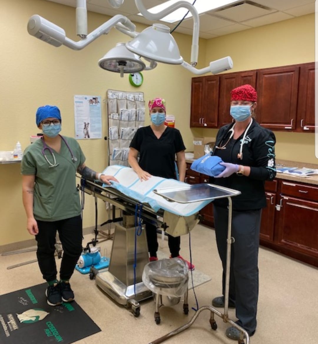 Veterinary Emergency Clinic