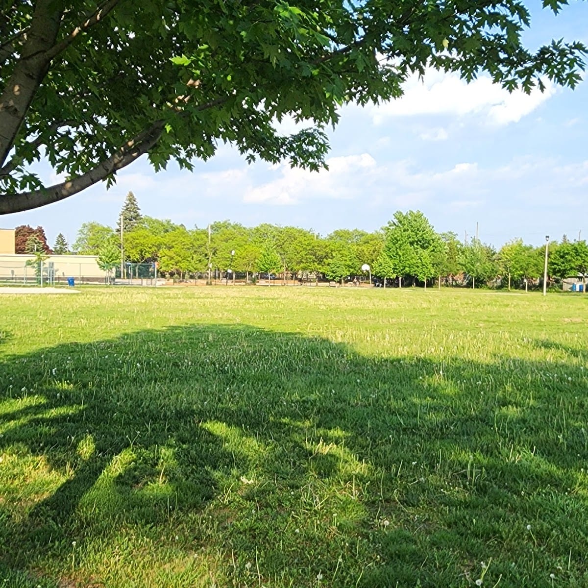 Ancaster Park