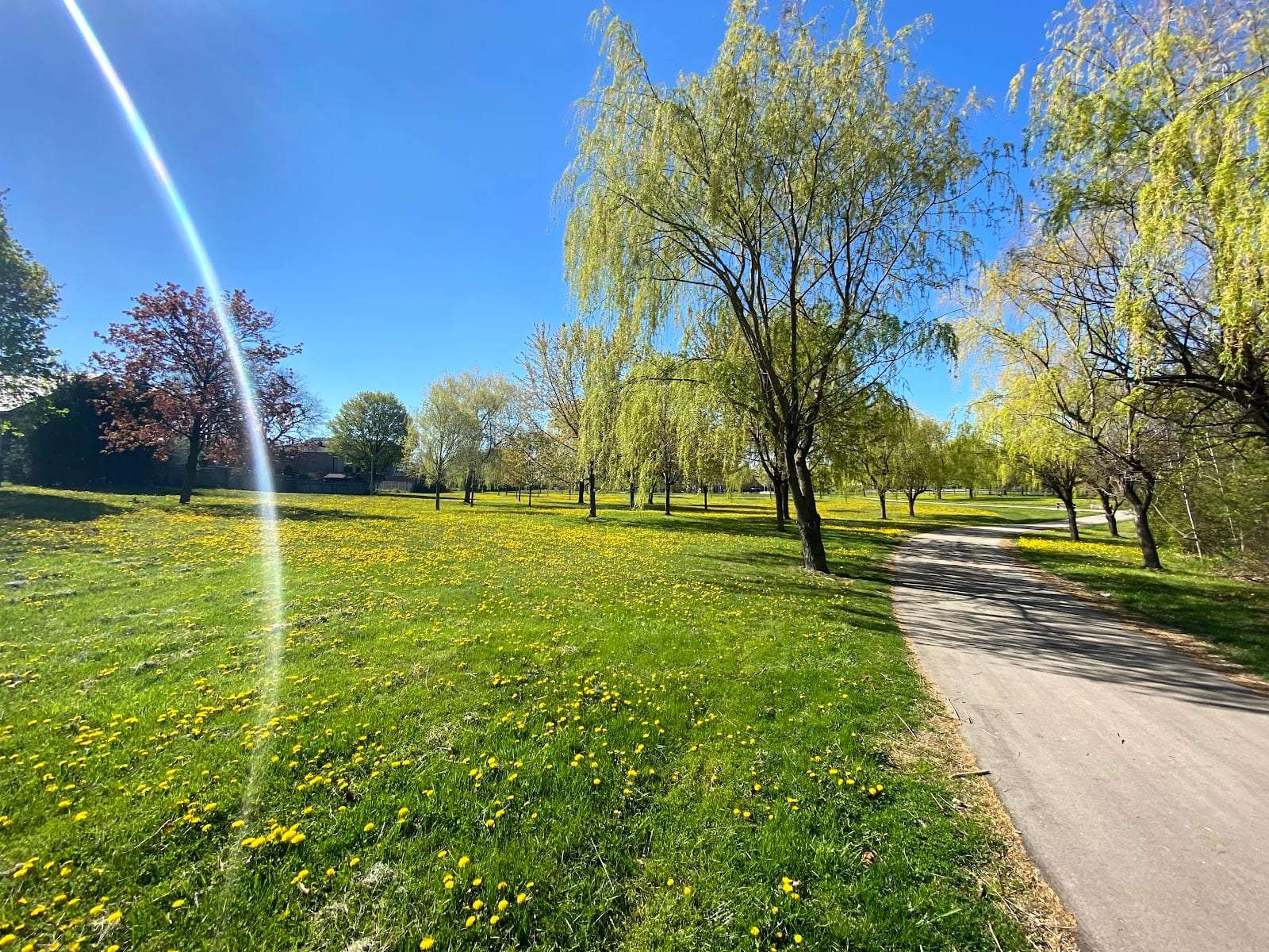 McCowan Park