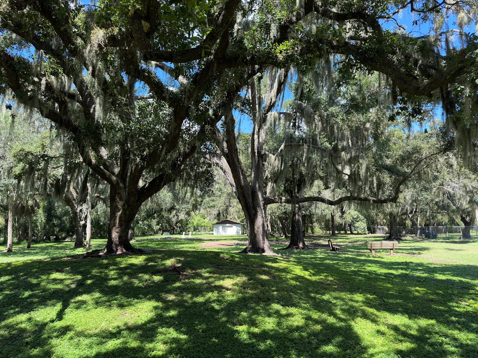 Lakeview Park