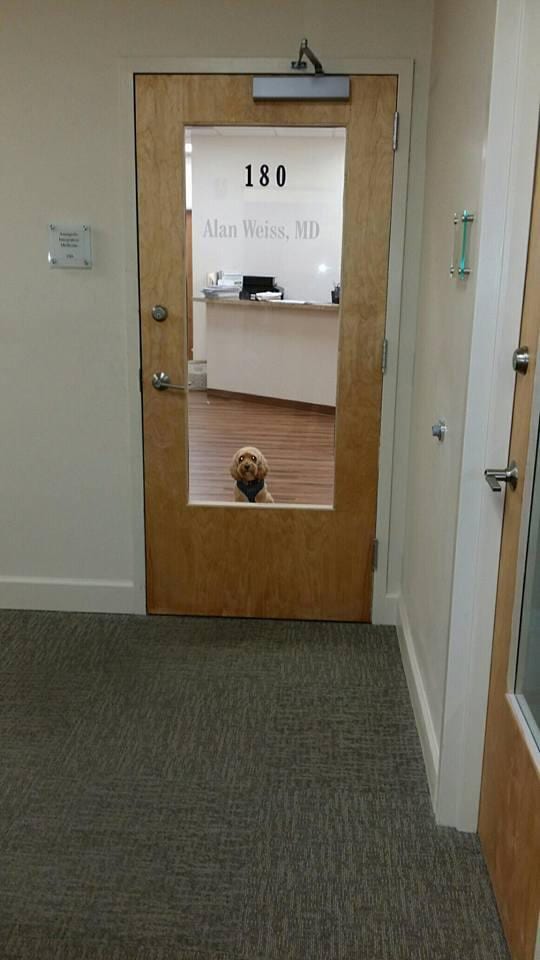 Annapolis Integrative Medicine, photo 2