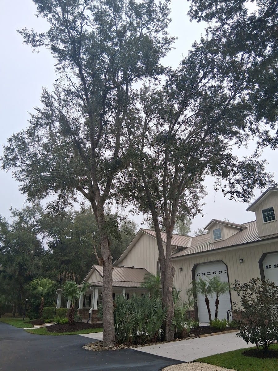 Florida Tree & Ground Maintenance Inc., photo 3