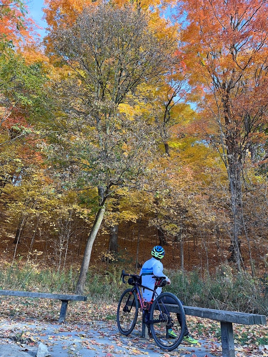 Taylor Creek Dog Park