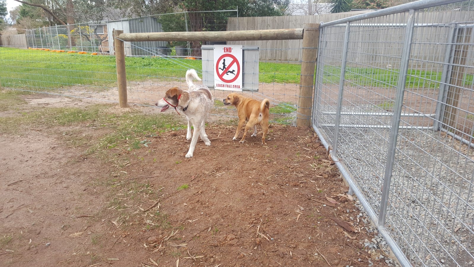 John Butler Reserve, photo 2