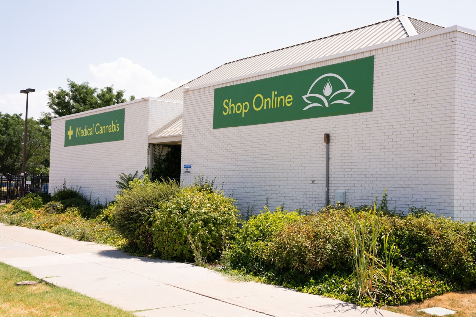 Dragonfly Wellness - Medical Cannabis Pharmacy