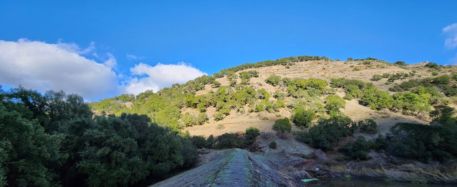 Lake Marie Dam, photo 3