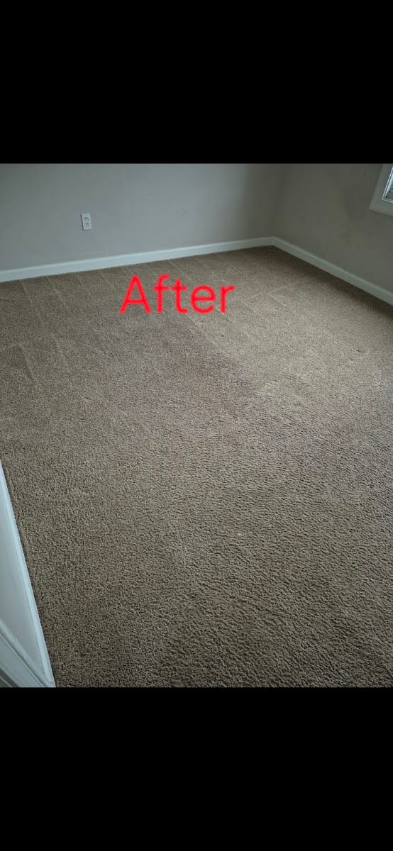 Extremely Clean Carpets & Services, photo 2