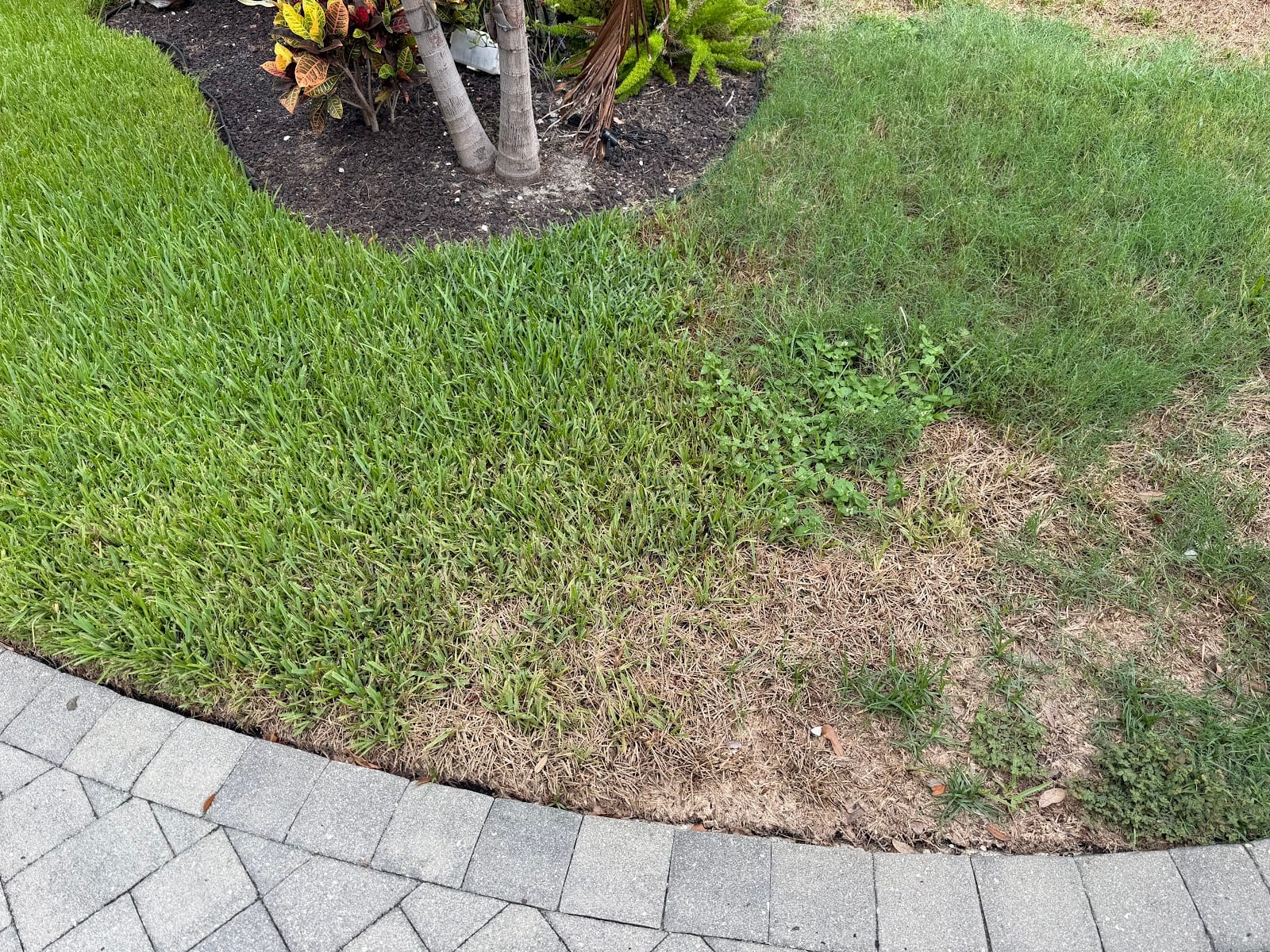 Massey Services GreenUP Lawn Care Service